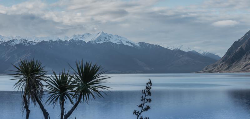 Nueva Zelanda